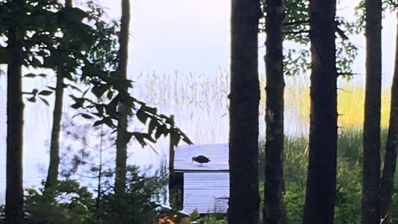 Photo of Others in Franklin