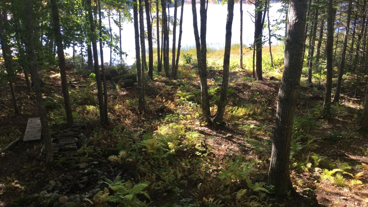 Photo of Outdoor in Franklin