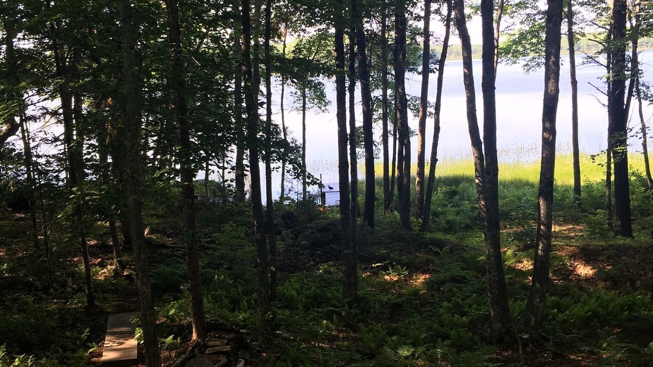 Photo of Outdoor in Franklin