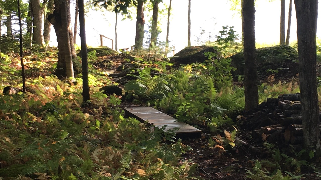 Photo of Outdoor in Franklin