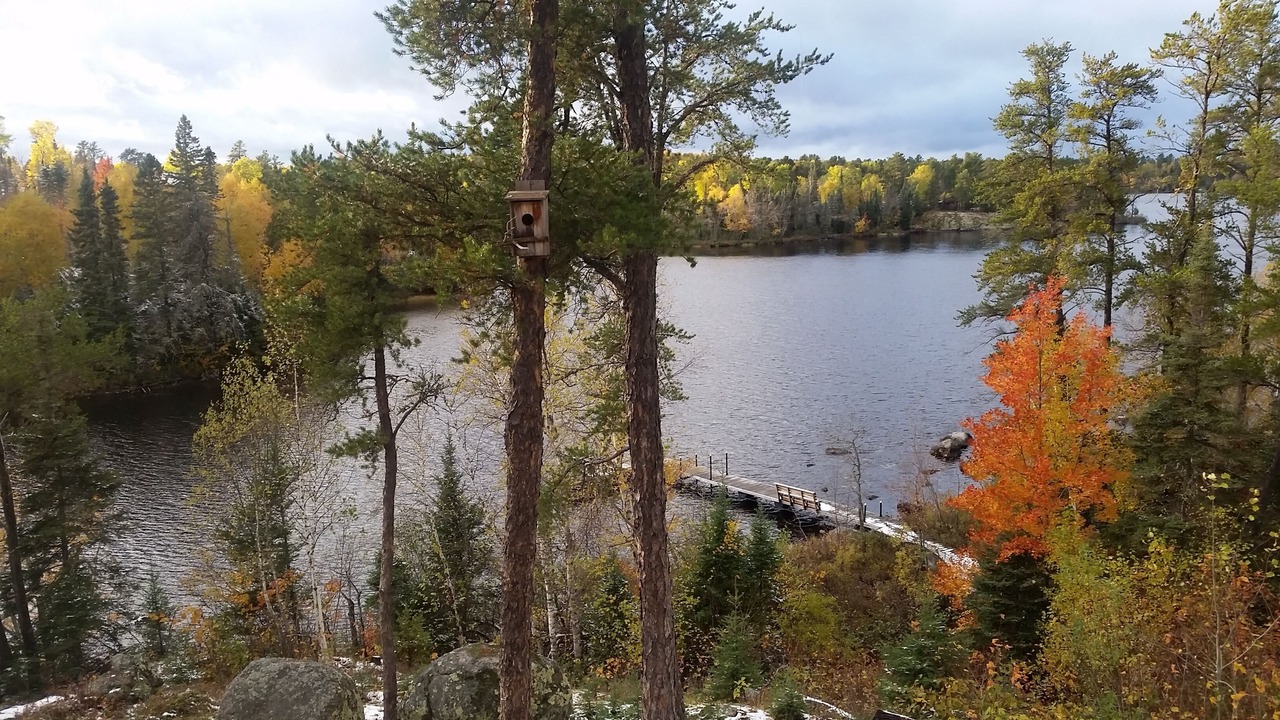 Photo of Patio Balcony in Ely
