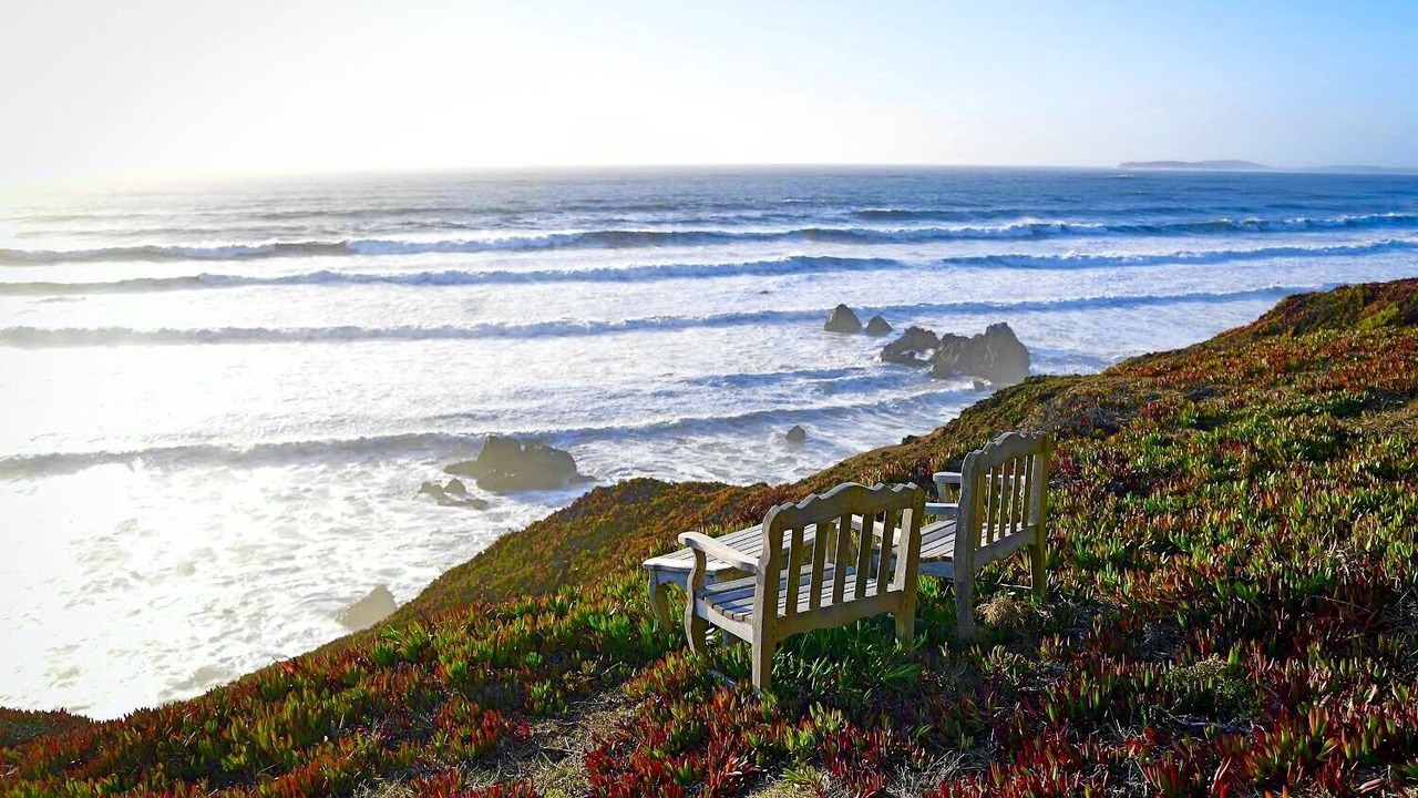 Photo of Others in Dillon Beach