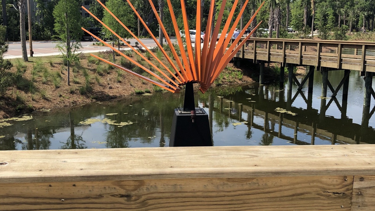 Photo of Outdoor in Hilton Head Island