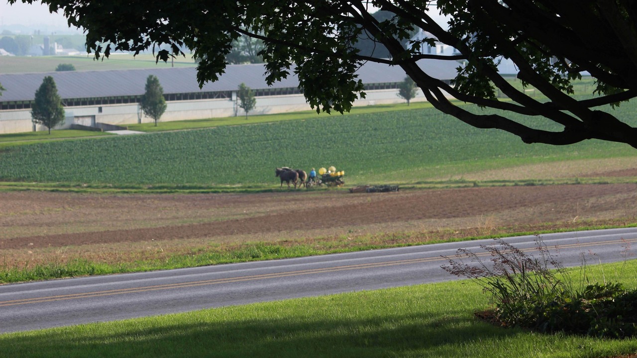 Photo of Others in Leola