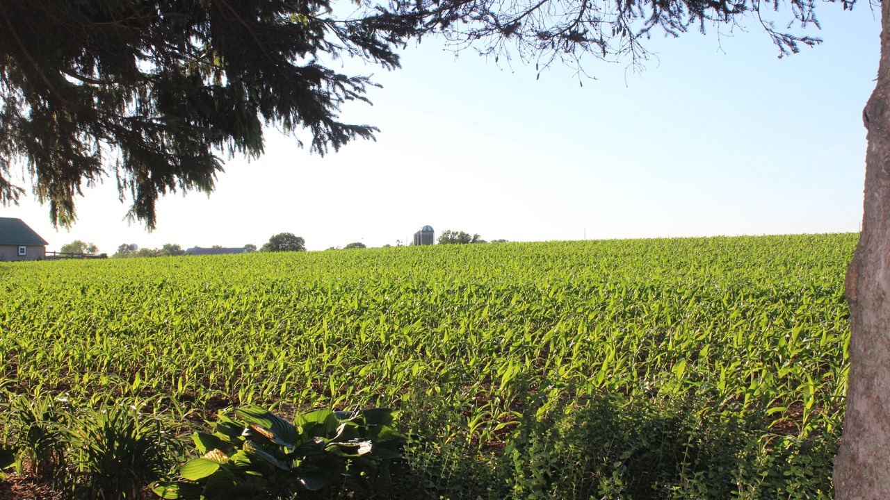 Photo of Outdoor in Leola