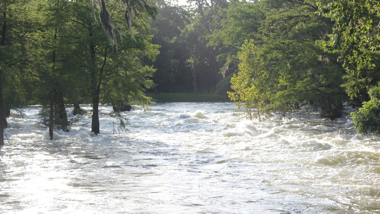 Photo of Others in Gruene