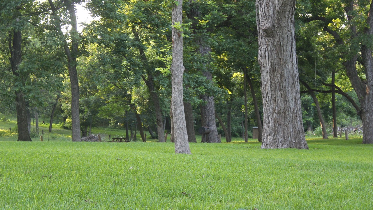 Photo of Others in Gruene
