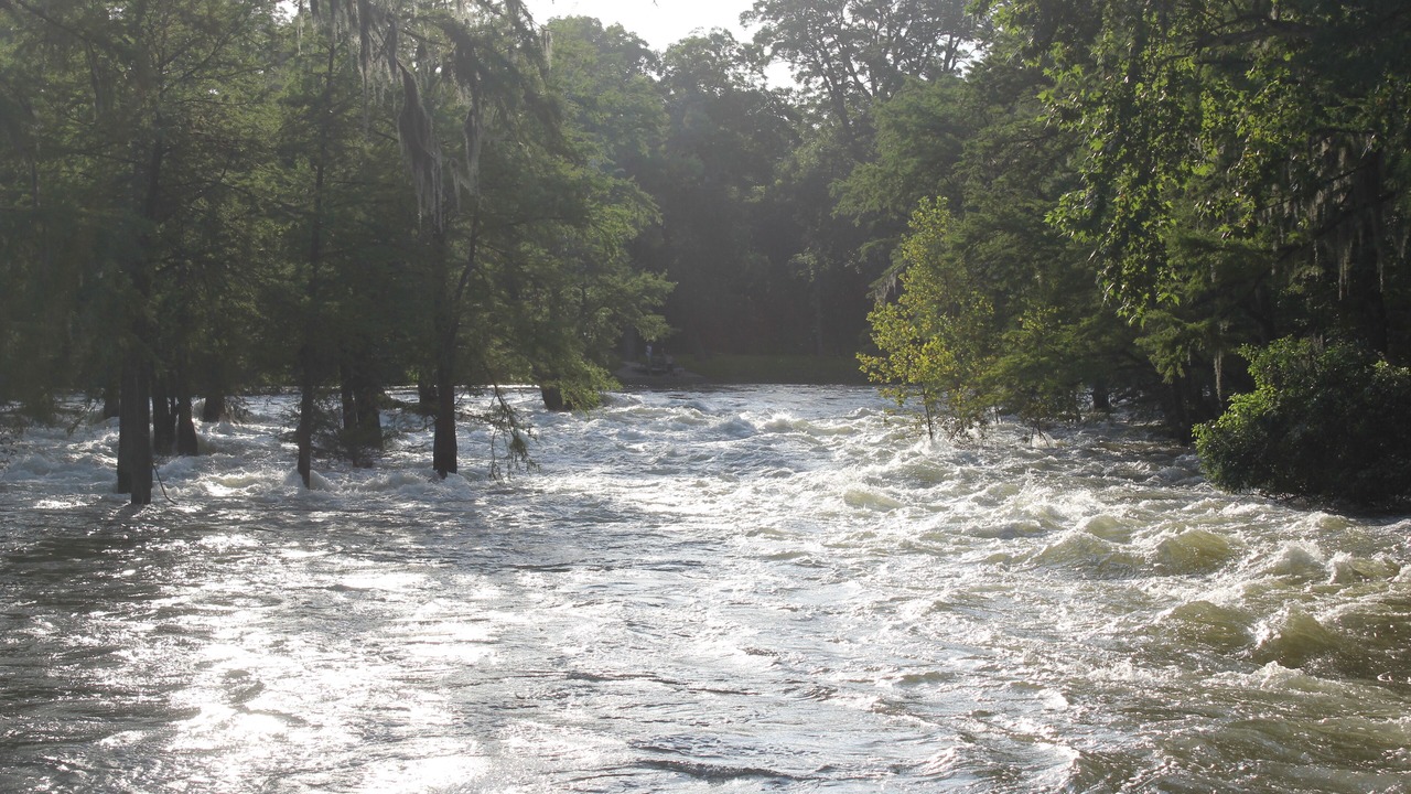 Photo of Others in Gruene
