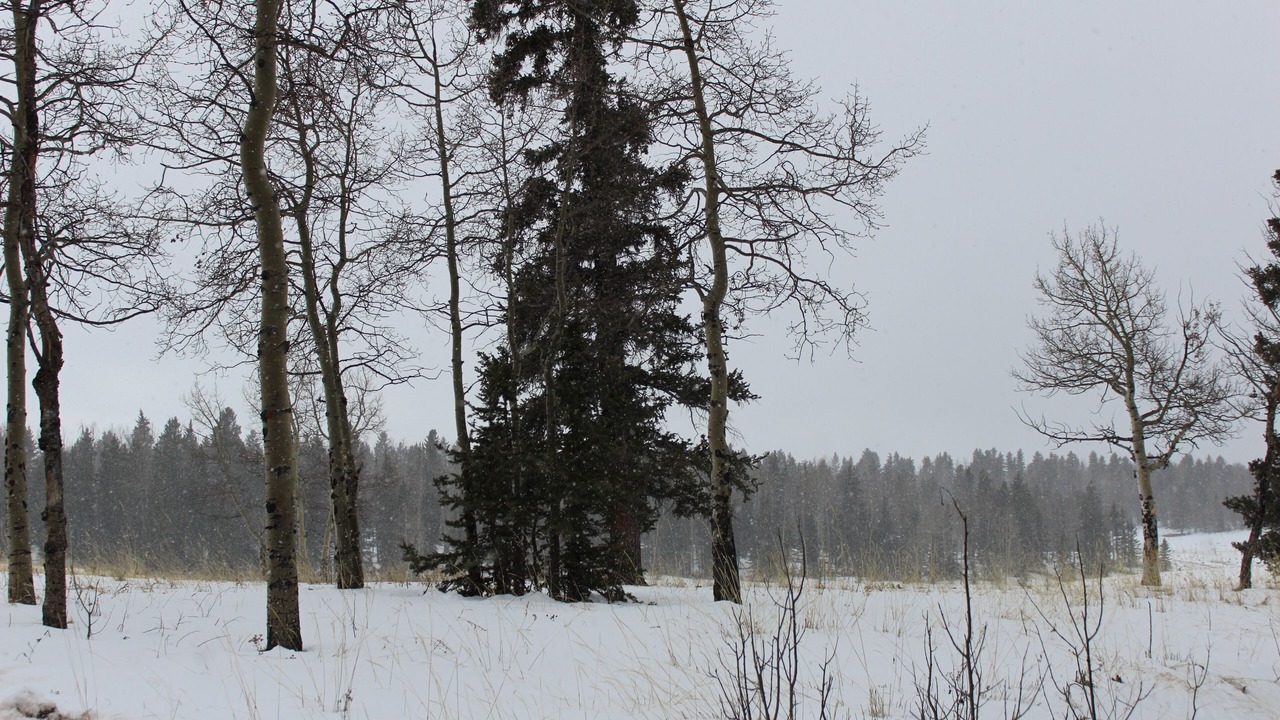 Photo of Others in Divide