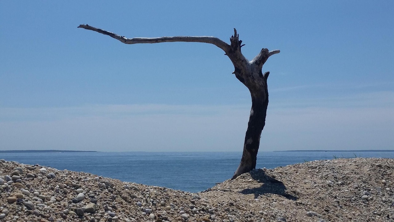 Photo of Others in Mattituck