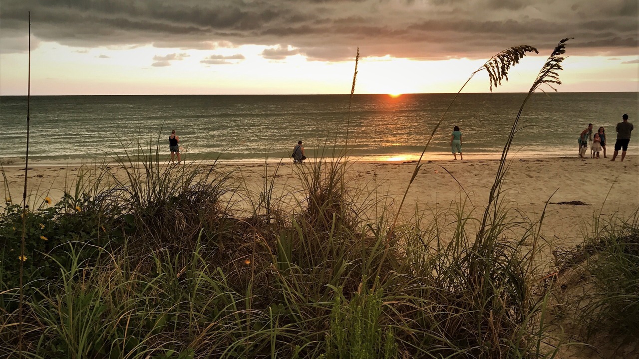 Photo of Others in Belleair Beach