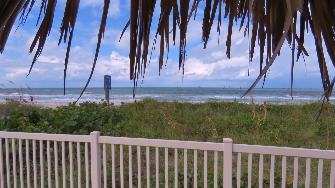 Photo of Others in Belleair Beach