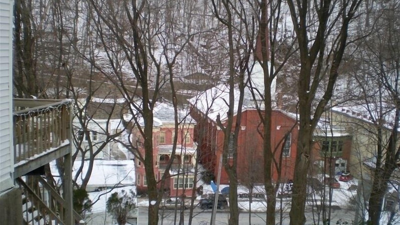 Photo of Others in Ashfield