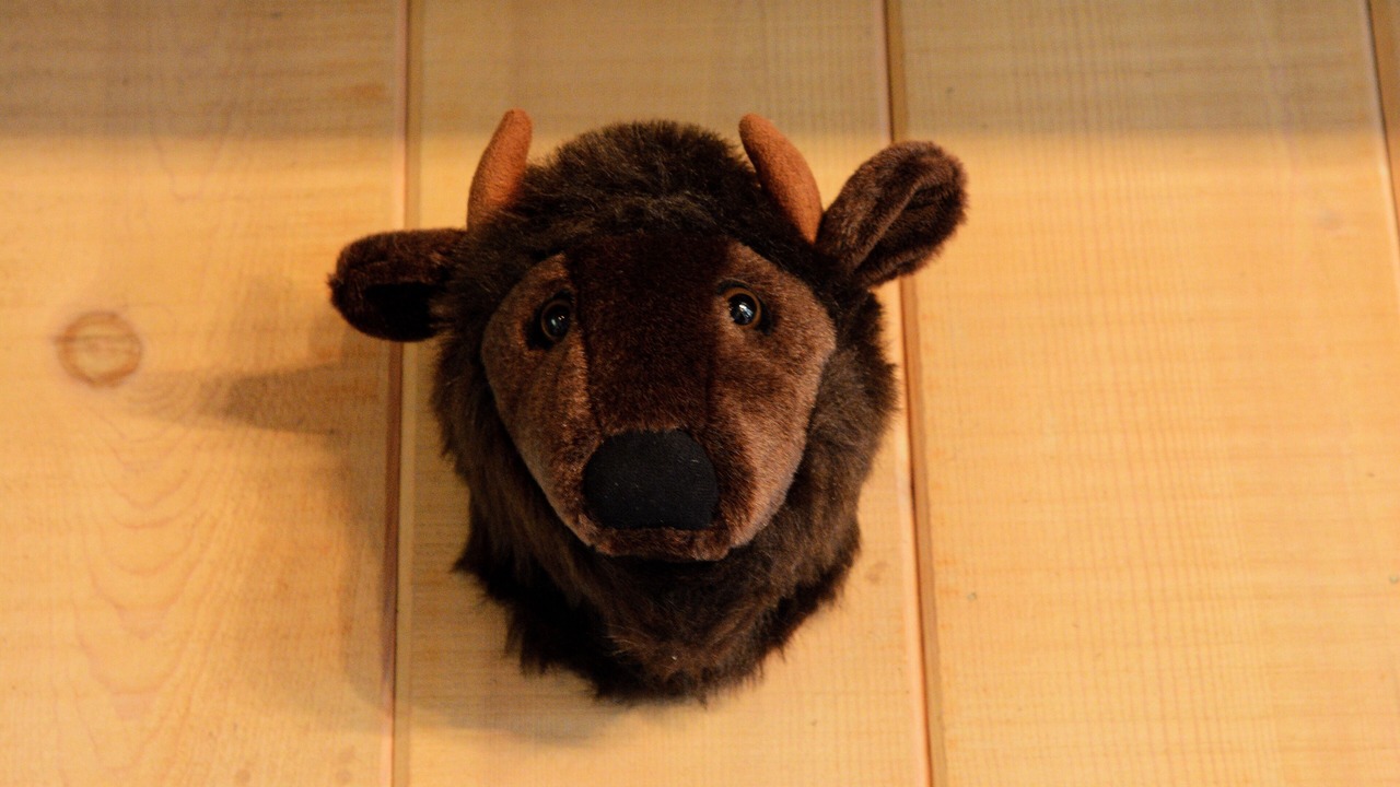 Photo of Others in Carmel Valley