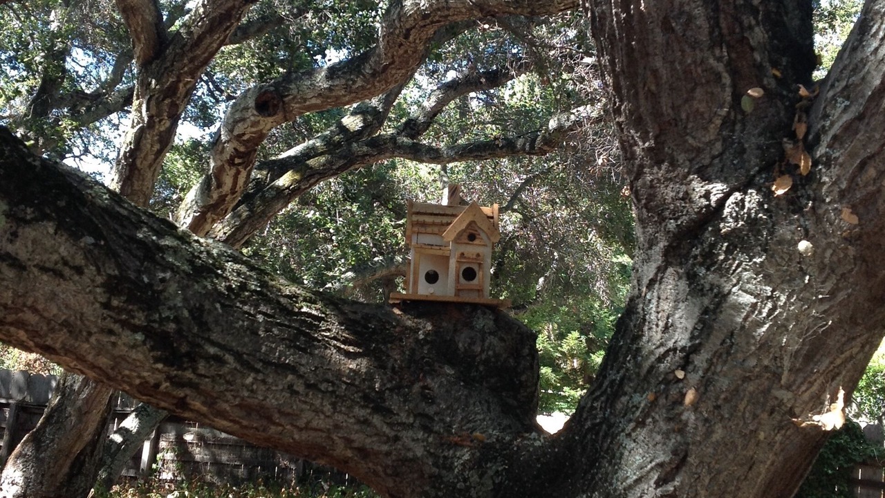 Photo of Others in Carmel Valley