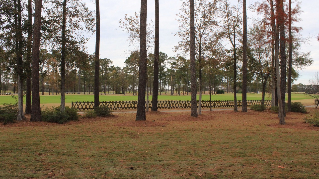 Photo of Outdoor in Carolina Forest