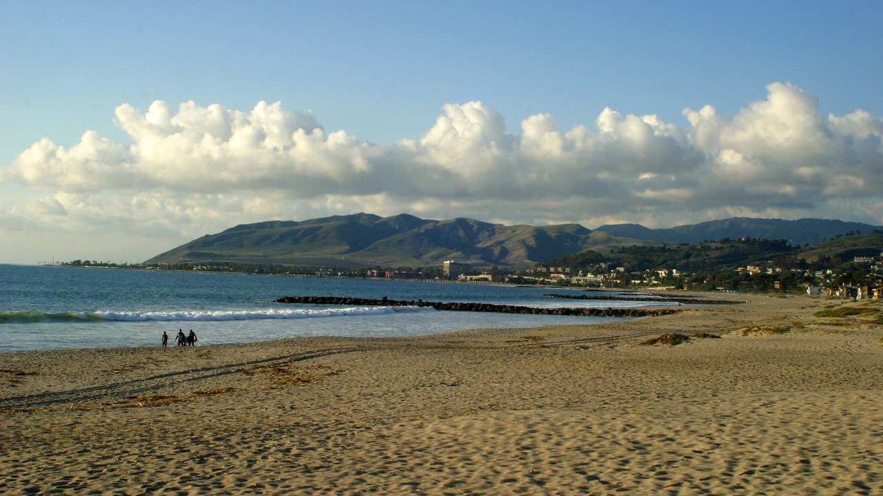 Photo of Others in Pierpont Bay