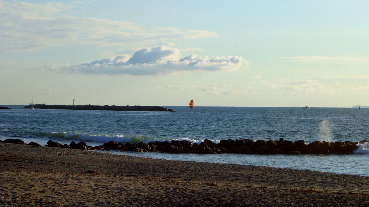 Photo of Others in Pierpont Bay
