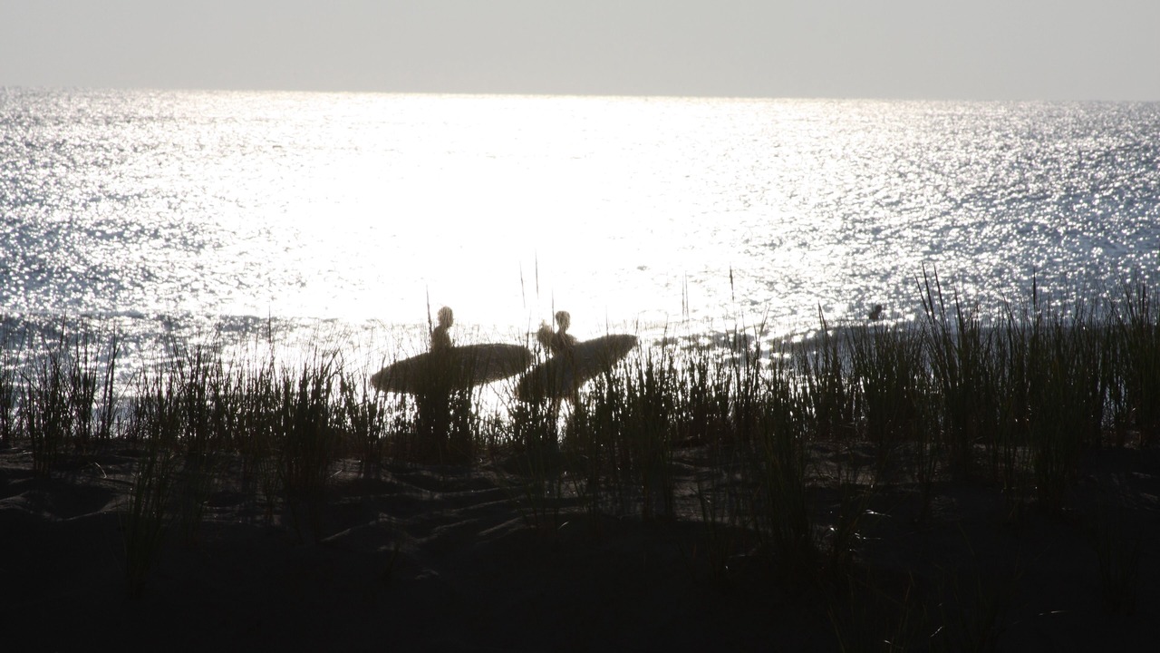 Photo of Others in Manasquan