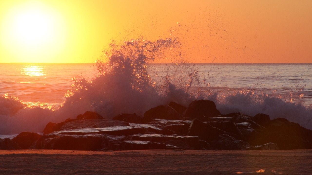Photo of Others in Manasquan