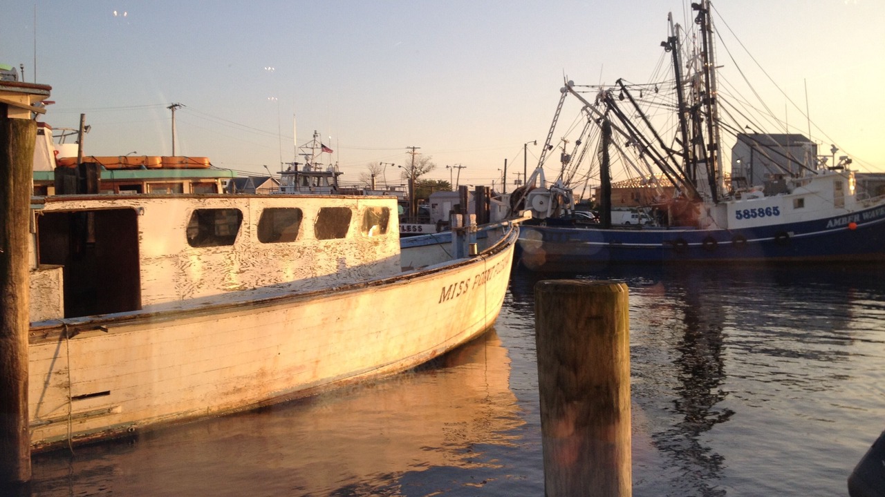 Photo of Others in Manasquan