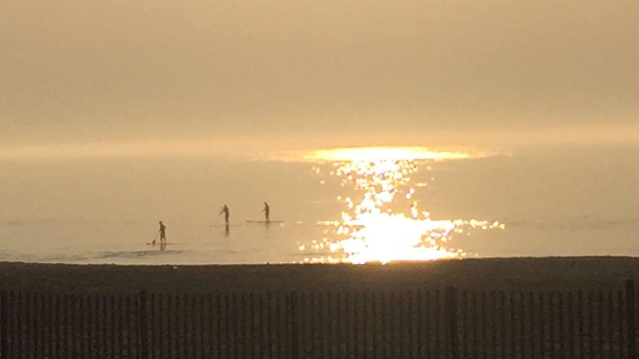 Photo of Others in Manasquan