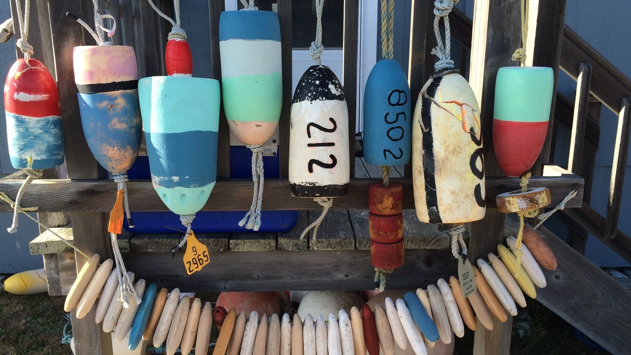 Photo of Others in Lopez Island