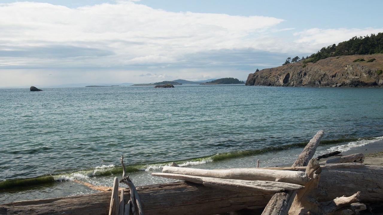 Photo of Others in Lopez Island