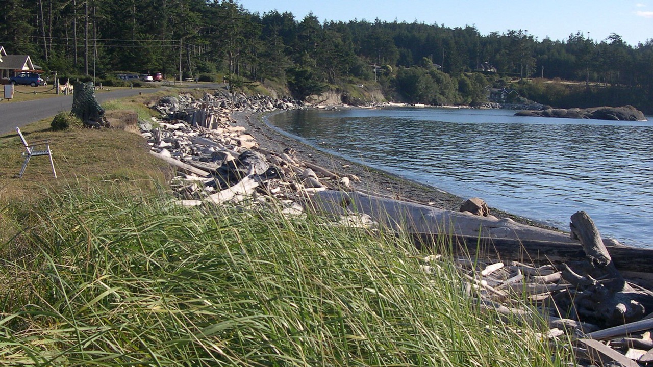 Photo of Others in Lopez Island