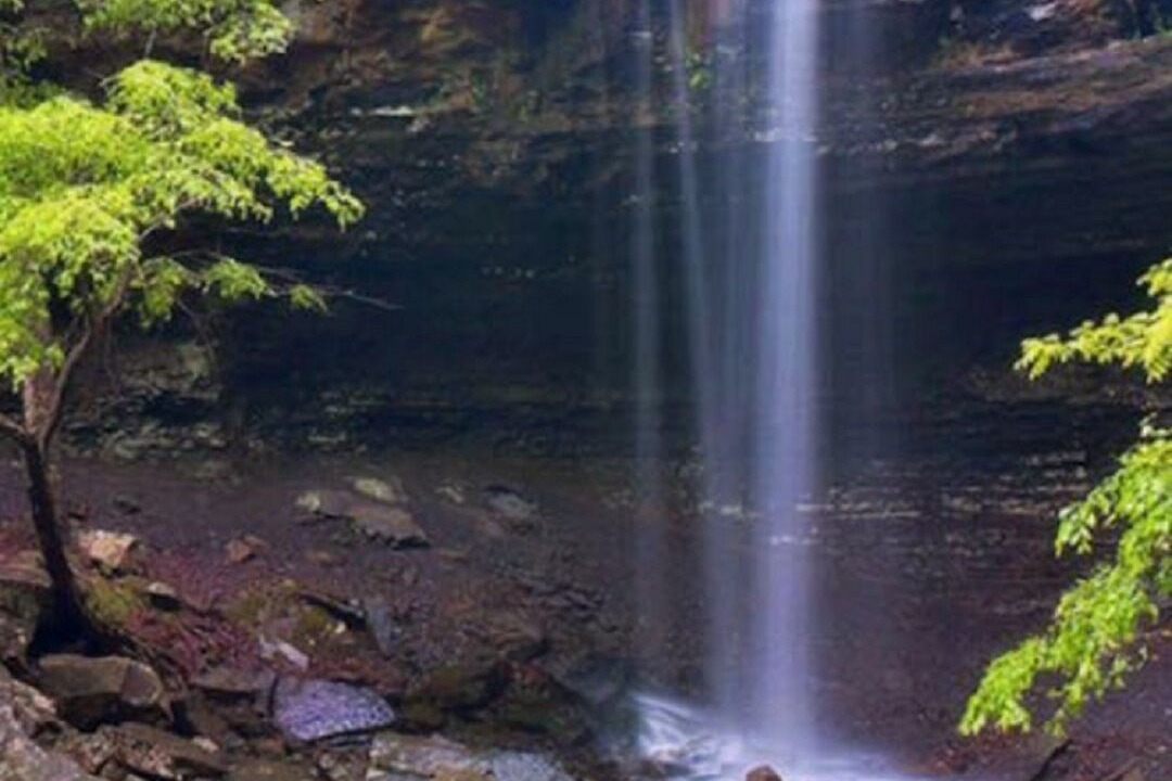Photo of Outdoor in Dover