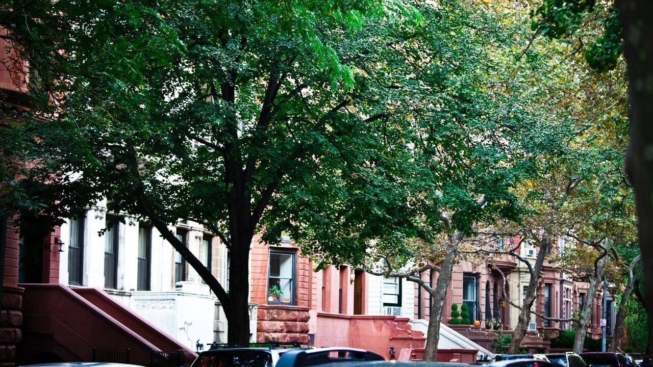 Photo of Others in Central Park West