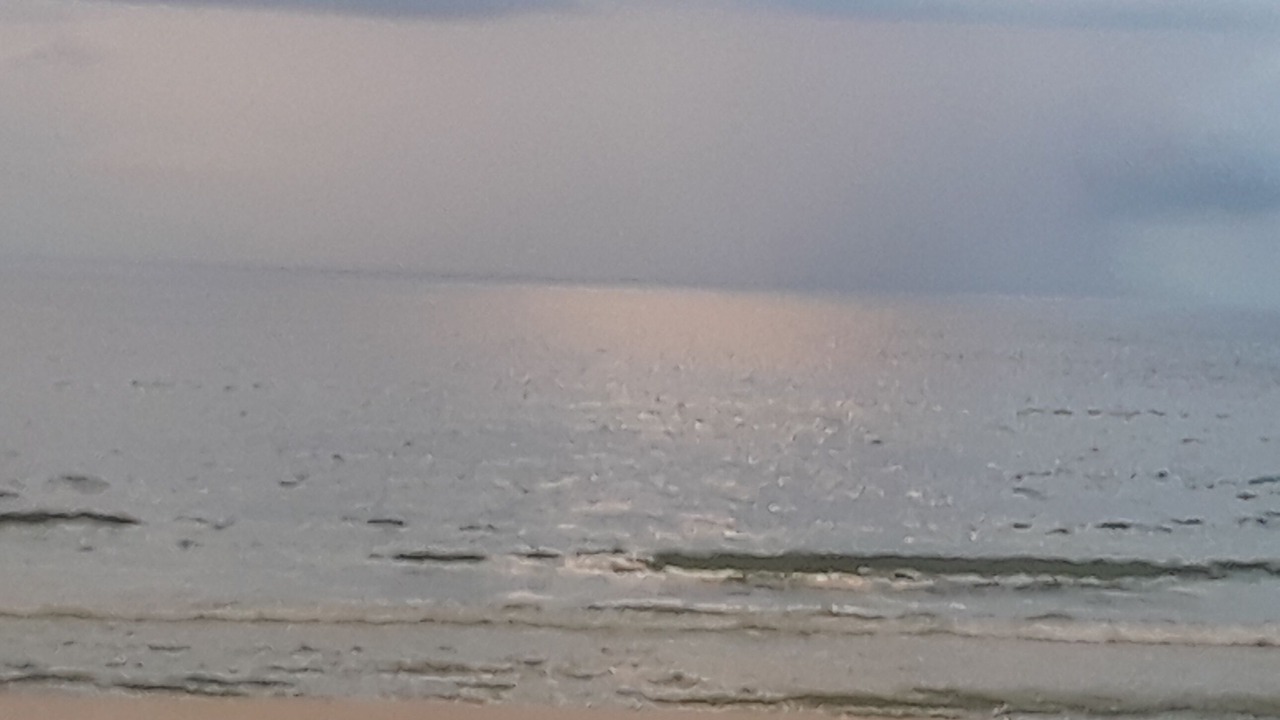 Photo of Others in Kiska Beach