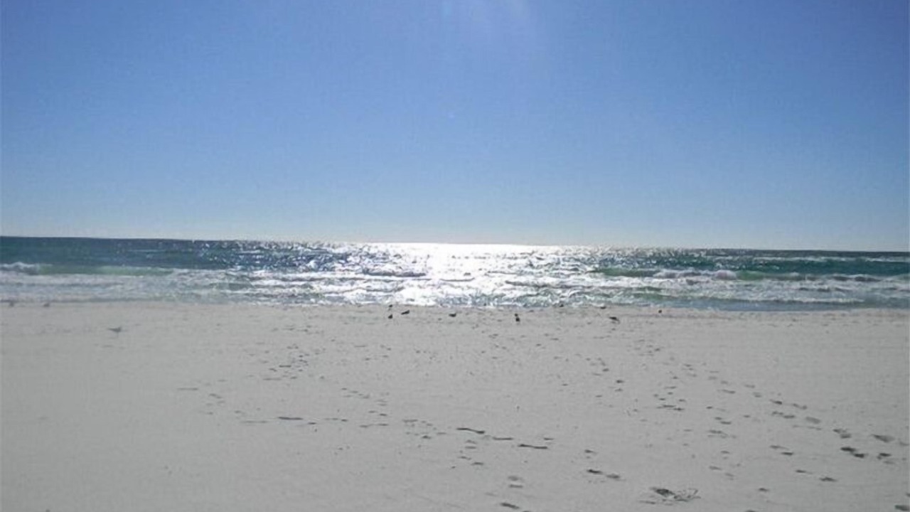 Photo of Others in Kiska Beach