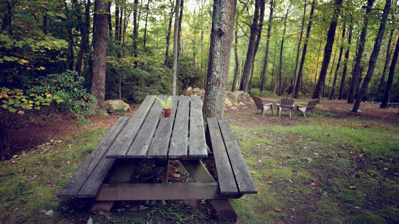 Photo of Others in Burks Fork