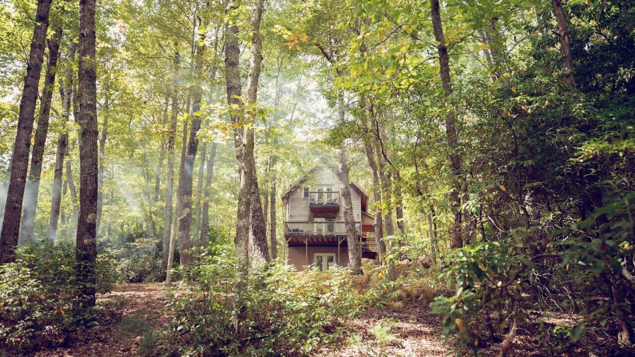 Photo of Others in Burks Fork