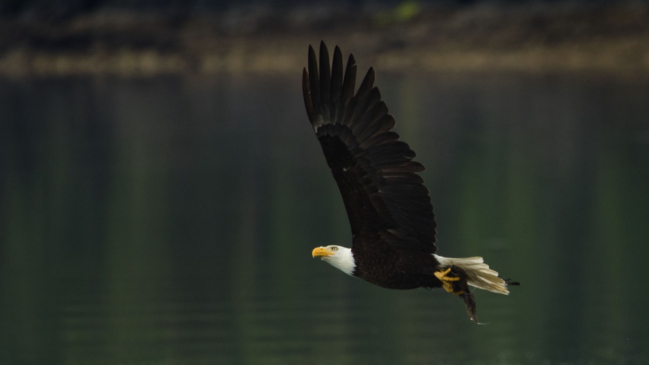 Photo of Others in West Hills