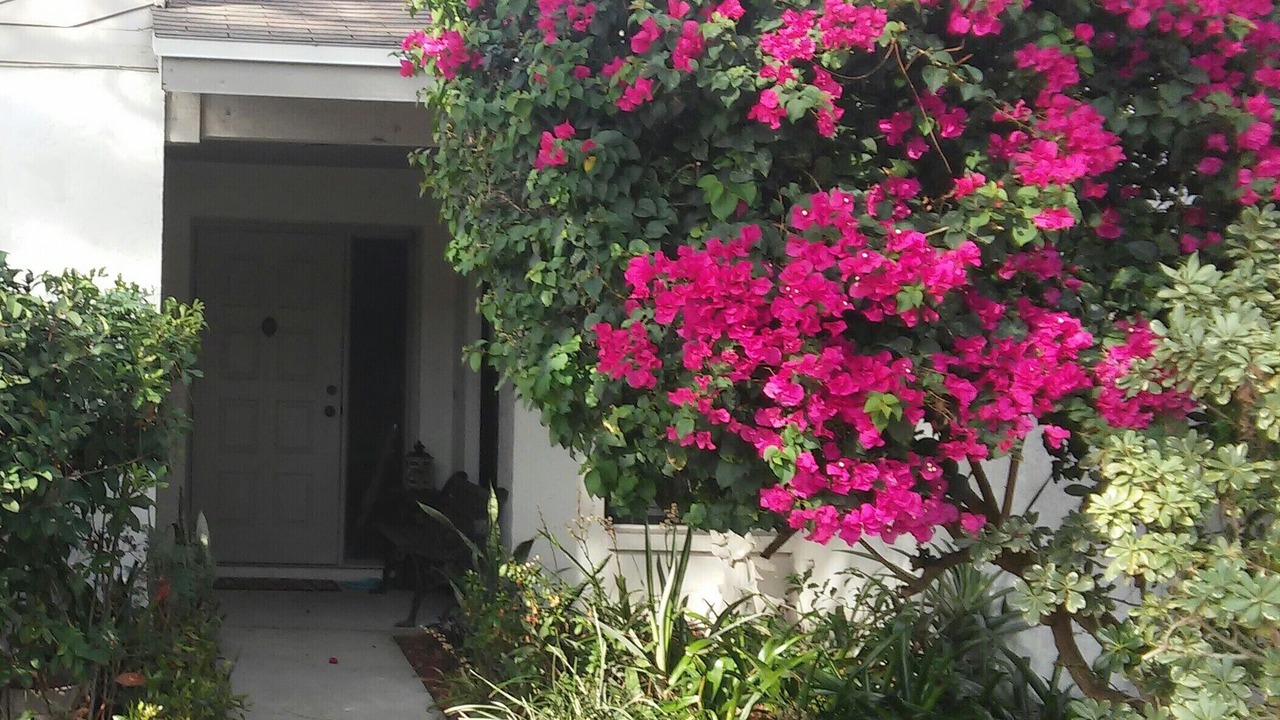 Photo of Outdoor in Lakeview Village