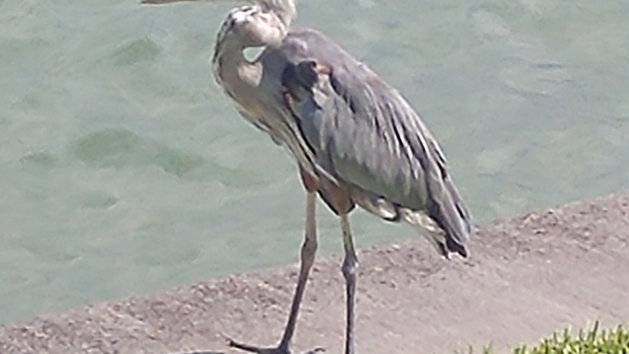 Photo of Others in Lakeview Village