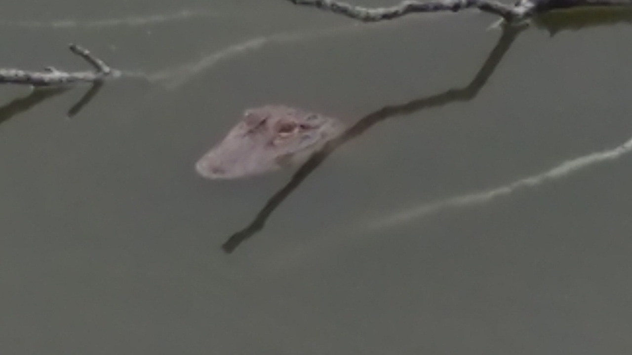 Photo of Others in Lakeview Village