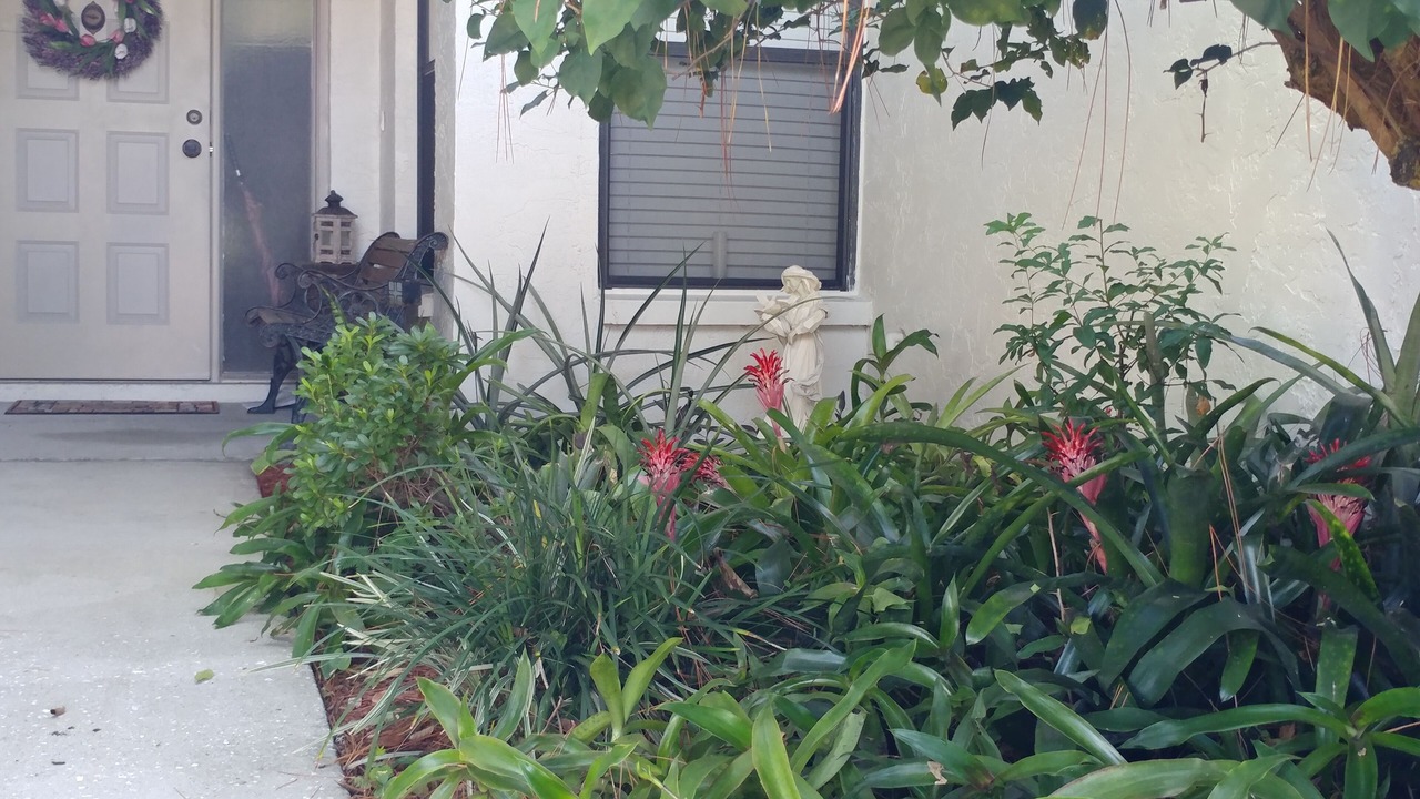 Photo of Outdoor in Lakeview Village