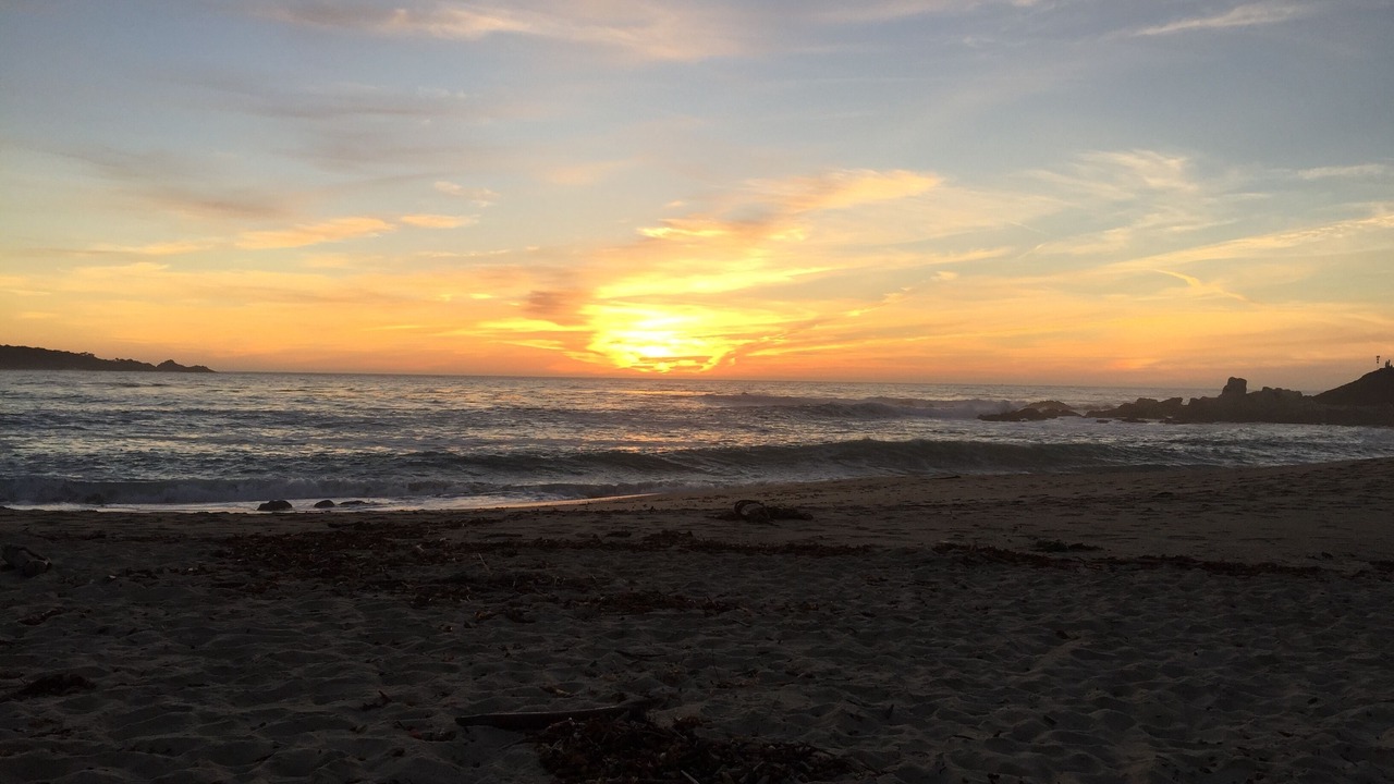 Photo of Others in Carmel Point