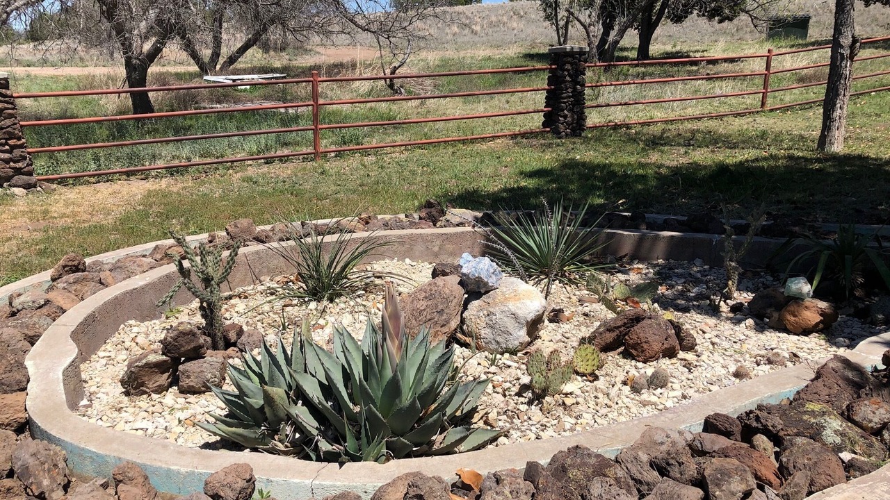 Photo of Outdoor in Alpine