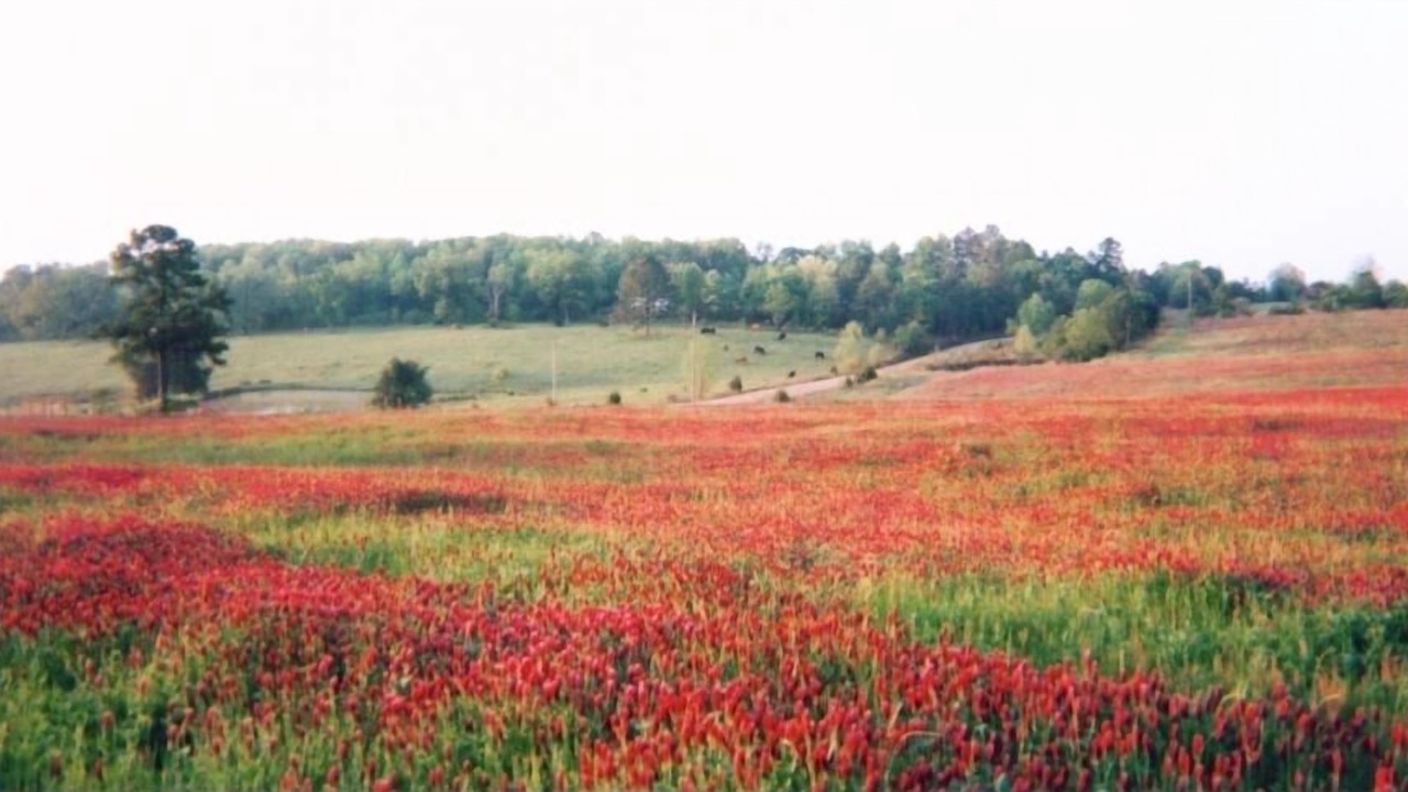 Photo of Outdoor in Magazine