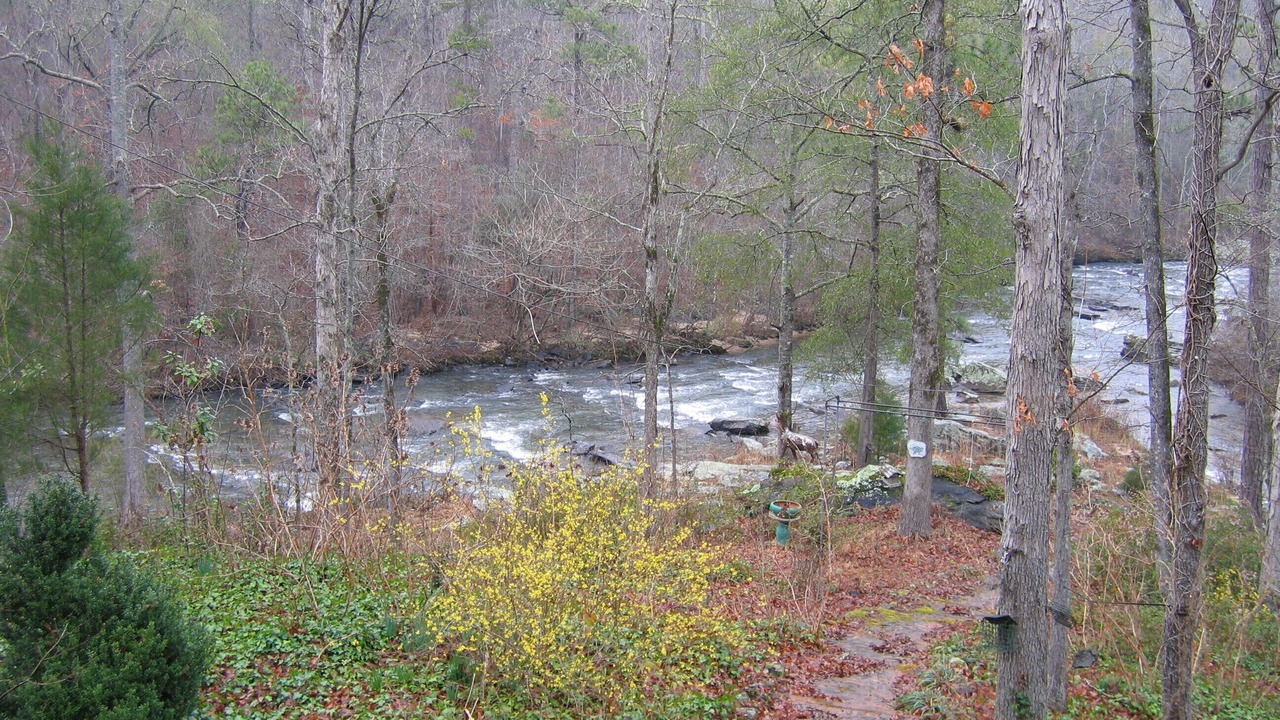 Photo of Outdoor in Pine Level