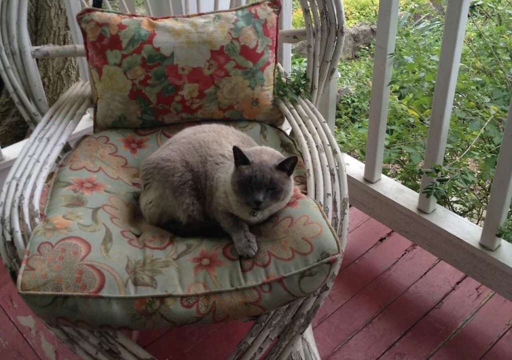 Photo of Others in Eureka Springs Historic District