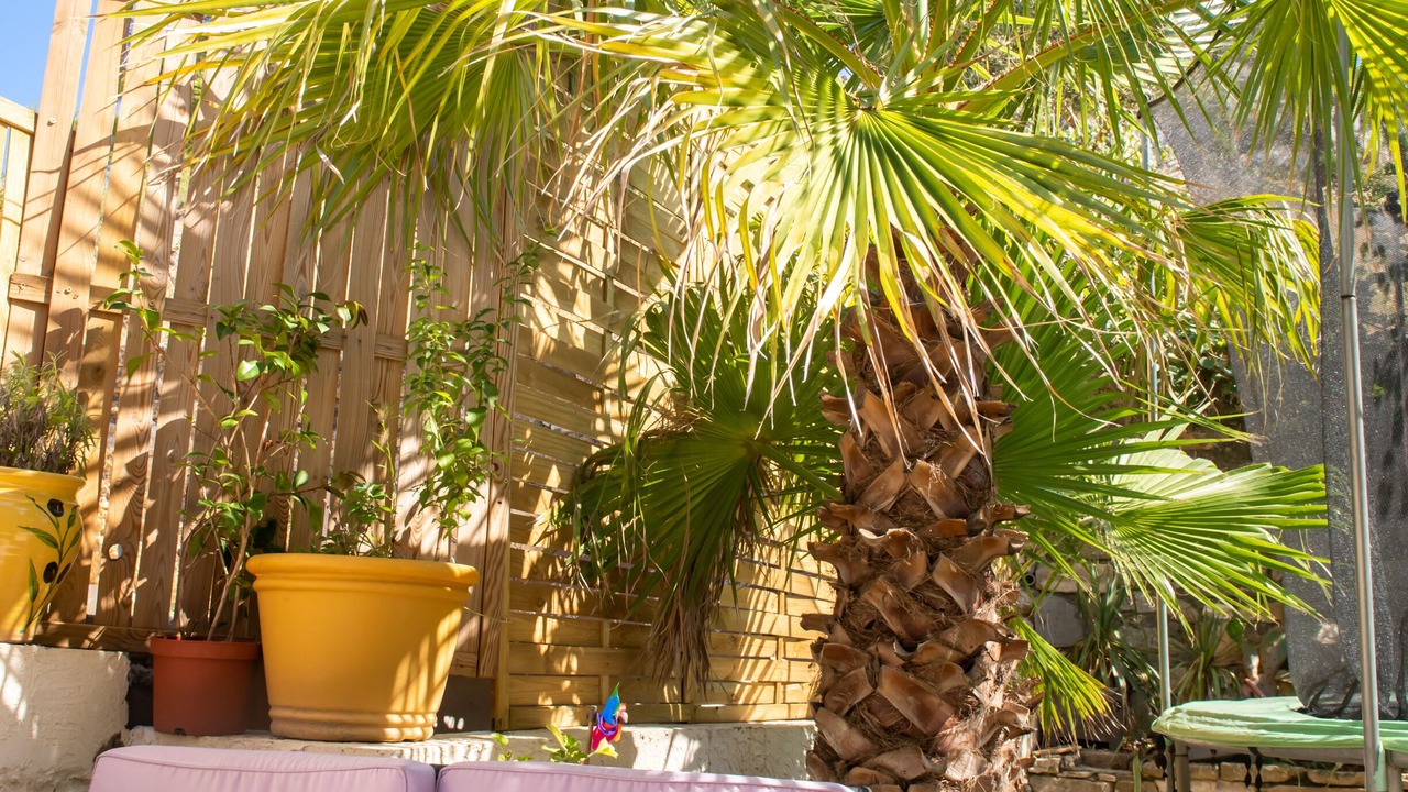 Photo of Outdoor in Roquefort-des-Corbieres