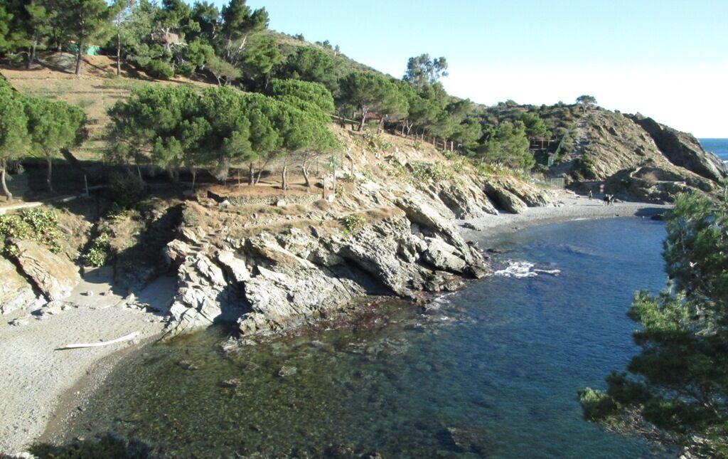Photo of Others in Port-Vendres