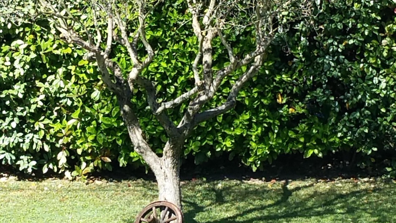 Photo of Outdoor in Bouc-Bel-Air