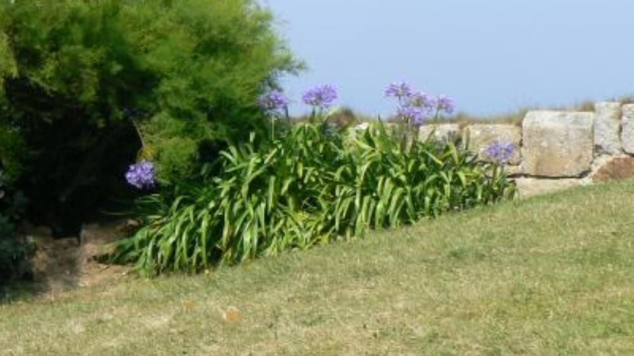 Photo of Outdoor in Plouescat