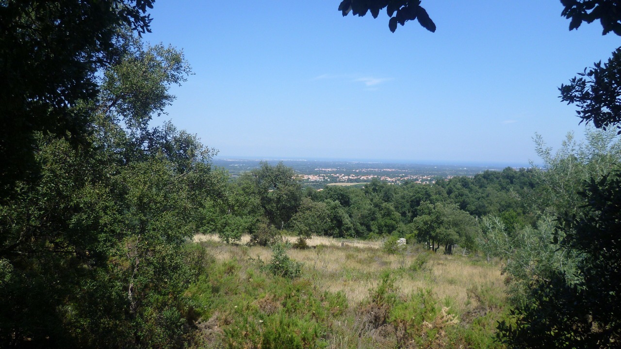 Photo of Others in Sorede